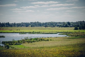 IMG_8518