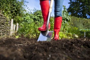 gardener-in-red-boots-with-spade-in-garden-165944978-5b2048e2ff1b780037e6c407